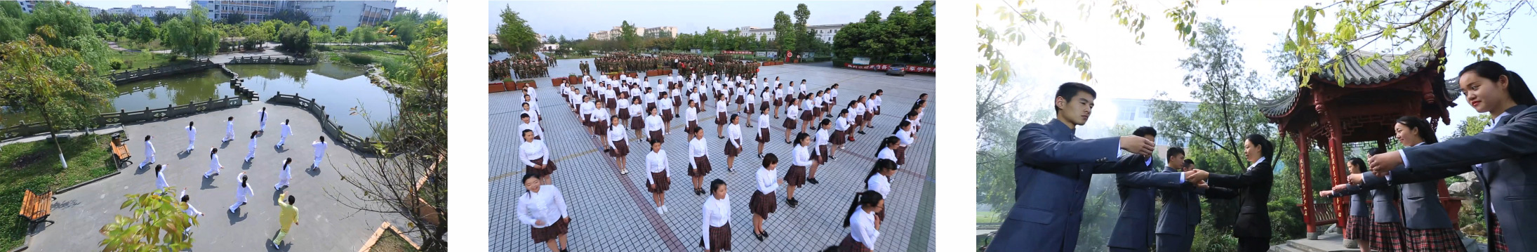 学院简介 学院简介