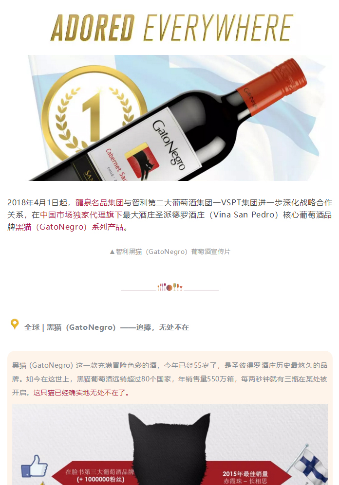 追捧，无处不在丨龍泉携手智利黑猫葡萄酒打造中国市场！