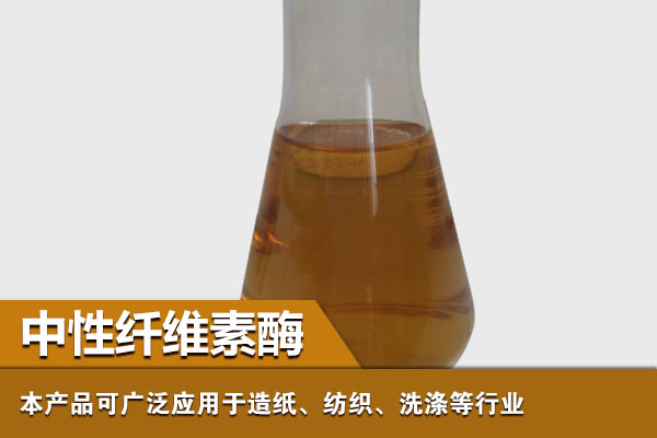 纤维素酶生物能源中的应用及展望 纤维素酶生物能源中的应用及展望