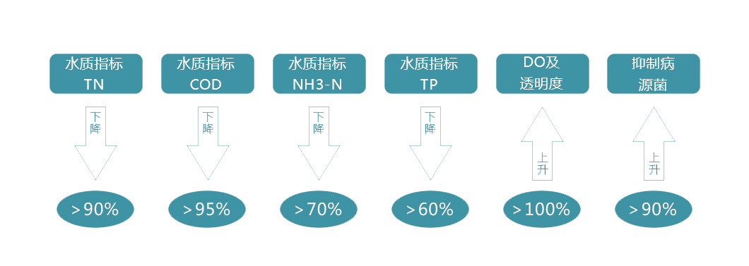 水体治理 水体治理