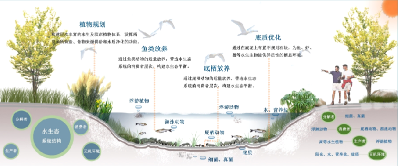 水体治理 水体治理