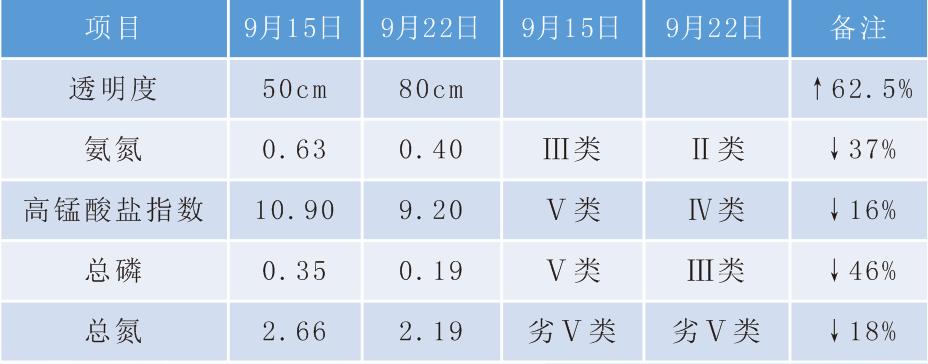 水体治理 水体治理