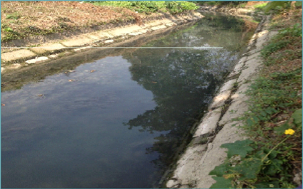水体治理 水体治理