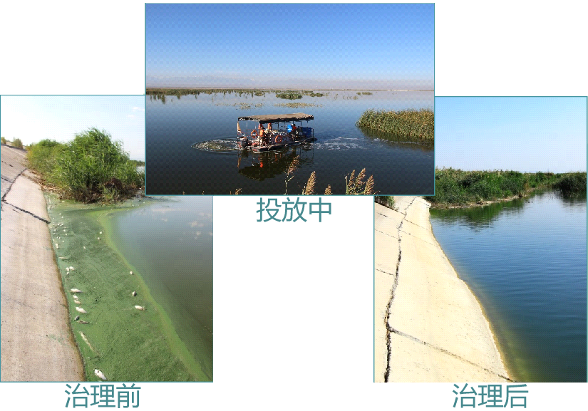 水体治理 水体治理