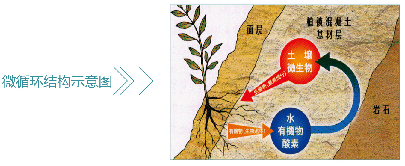 生态护坡 生态护坡