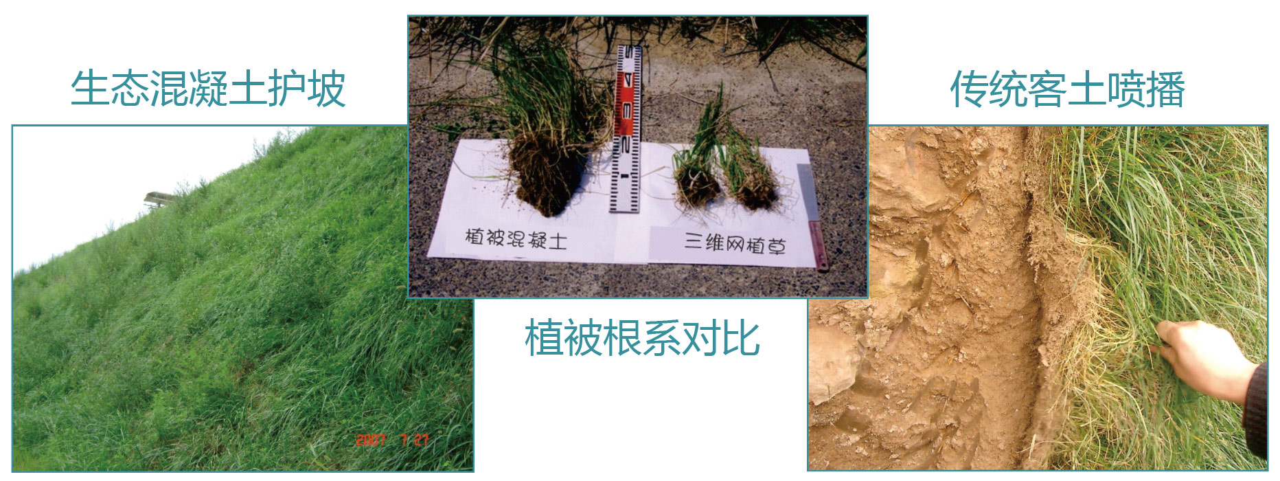 生态护坡 生态护坡