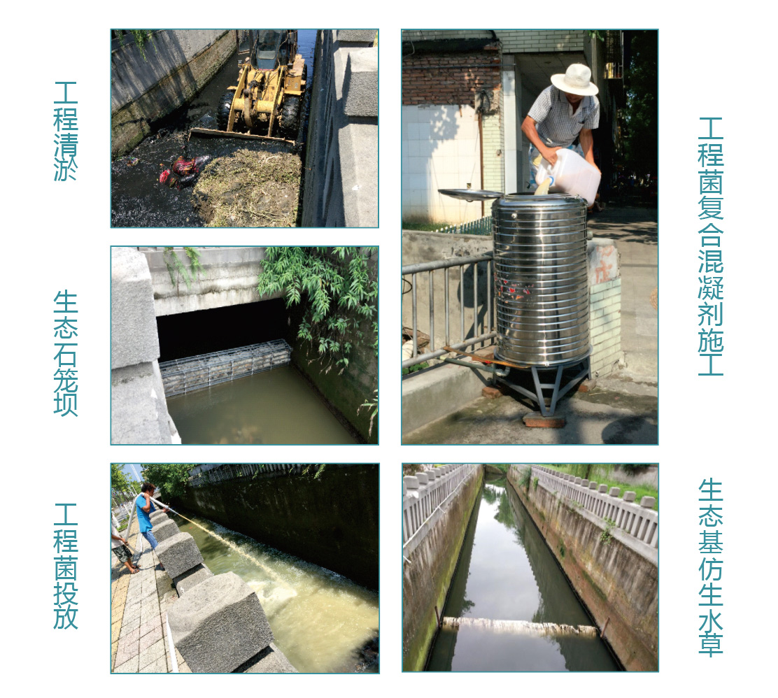 上海宝山黑臭河道生态修复项目 上海宝山黑臭河道生态修复项目