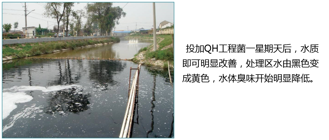 上海宝山黑臭河道生态修复项目 上海宝山黑臭河道生态修复项目