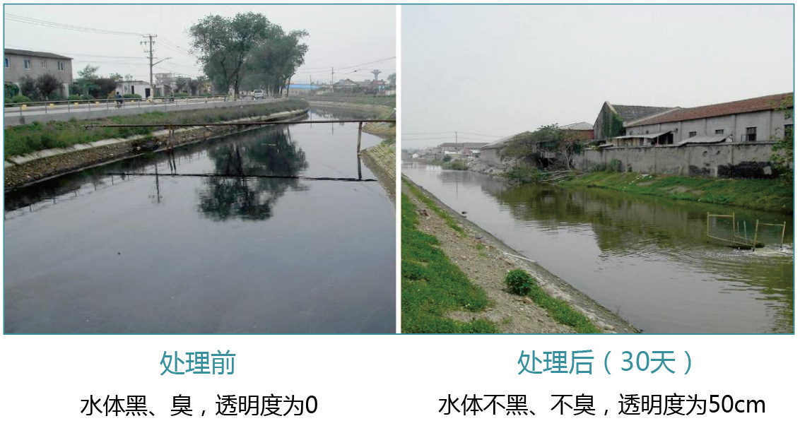 上海宝山黑臭河道生态修复项目 上海宝山黑臭河道生态修复项目