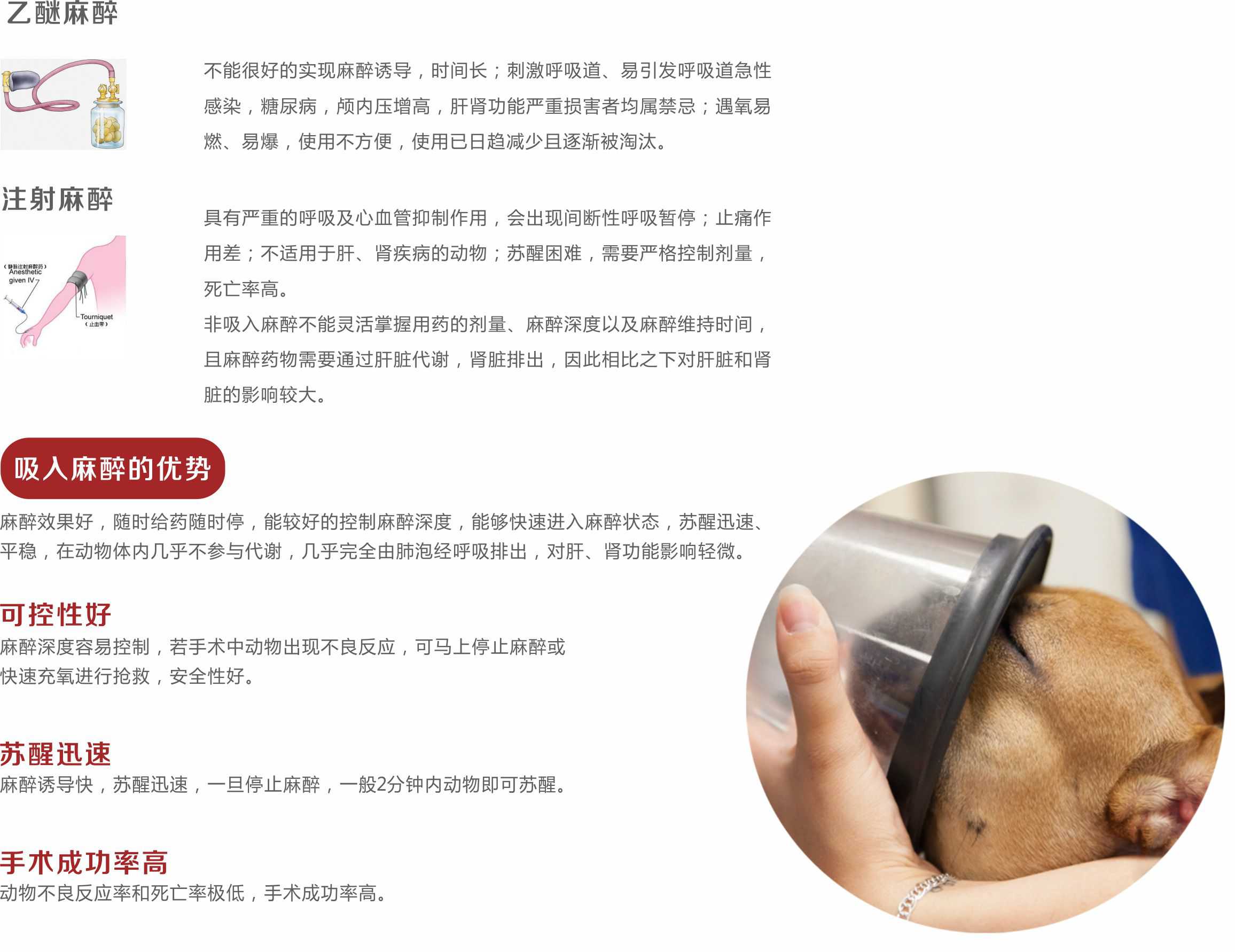 戴瑞“DERRY”动物专用吸入式麻醉机