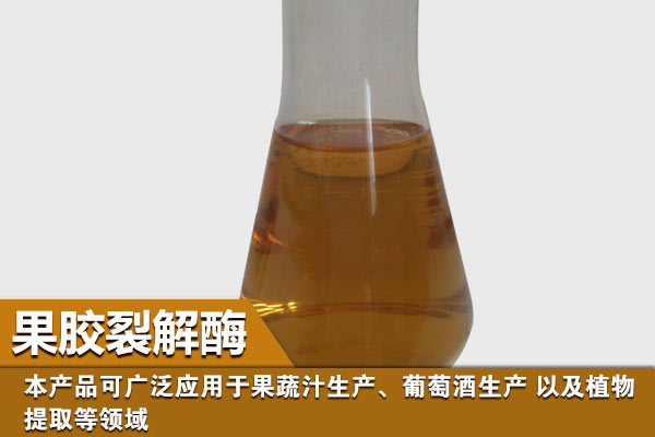  果胶裂解酶在果汁果酒中的作用