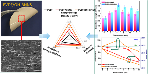 Largely Enhanced Energy Storage Density of Poly(vinylidene Fluoride) Nanocomposites Based on Surface