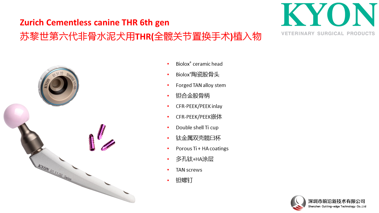 Zurich Cementless canine THR 6th gen  苏黎世第六代非骨水泥犬THR