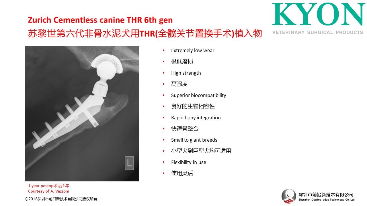 Zurich Cementless canine THR 6th gen  苏黎世第六代非骨水泥犬THR
