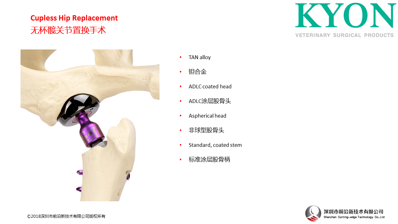 瑞士Kyon Cupless Hip Replacement 无杯髋关节置换手术