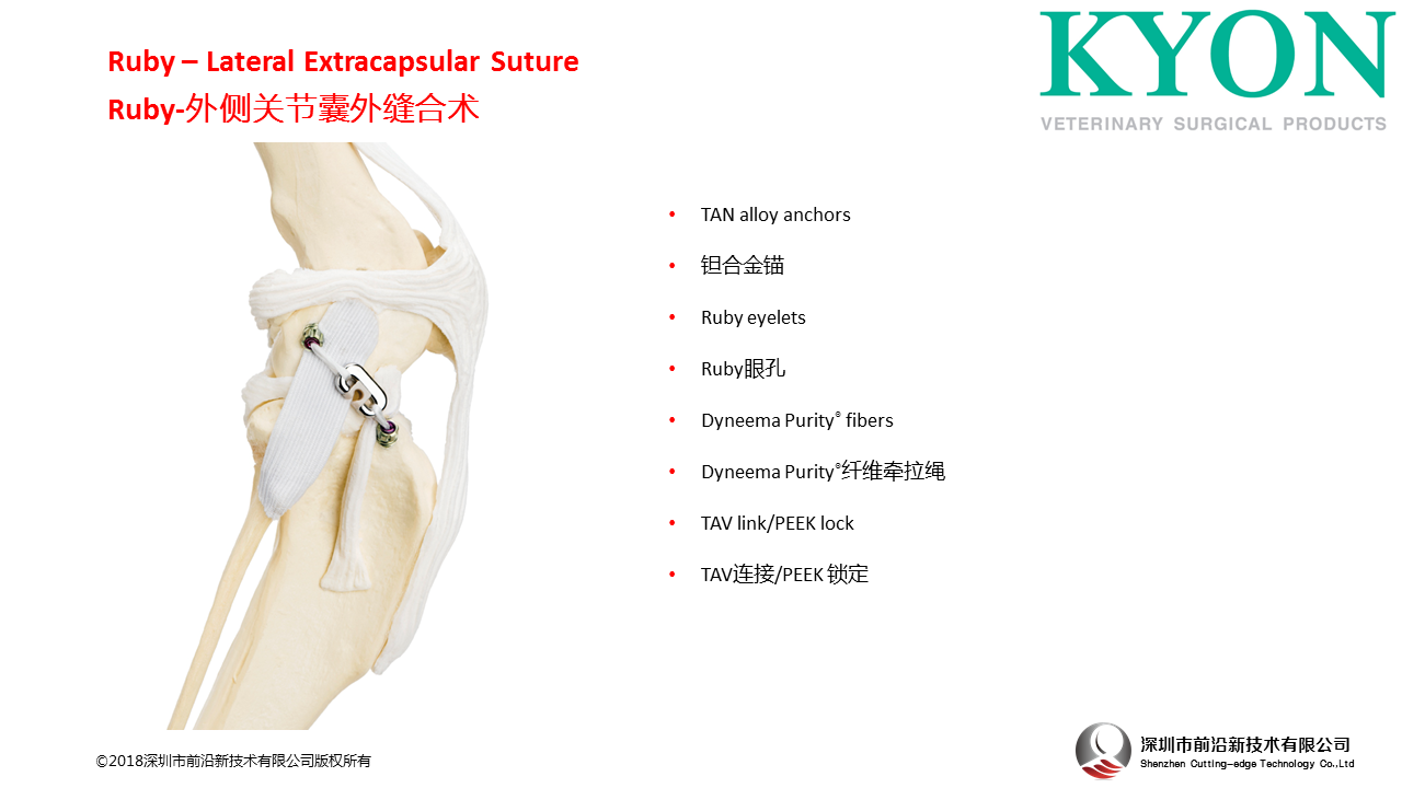 瑞士Kyon Ruby – Lateral Extracapsular Suture 外侧关节囊外缝合术