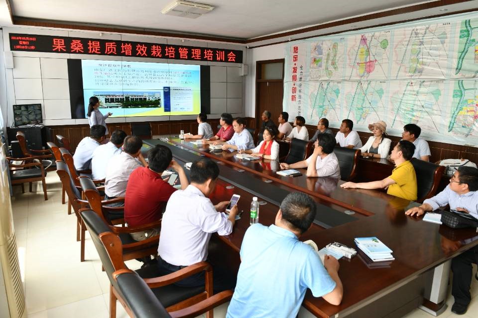 果桑提质增效栽培管理培训会在无棣举行 果桑提质增效栽培管理培训会在无棣举行