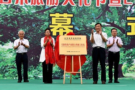 果桑提质增效栽培管理培训会在无棣举行 果桑提质增效栽培管理培训会在无棣举行