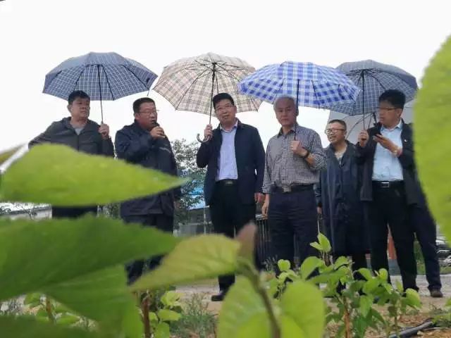 莒县:一个虫变成一条龙 莒县:一个虫变成一条龙