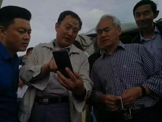 莒县:一个虫变成一条龙 莒县:一个虫变成一条龙