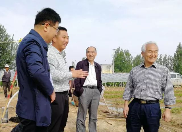 莒县:一个虫变成一条龙 莒县:一个虫变成一条龙