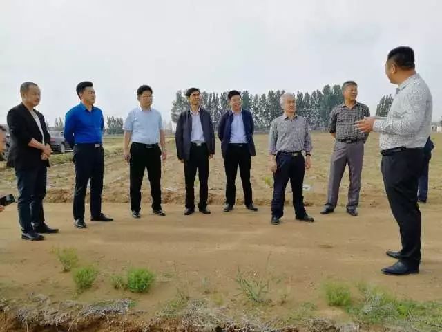 莒县:一个虫变成一条龙 莒县:一个虫变成一条龙