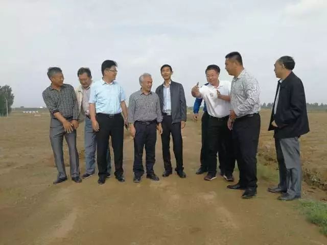 莒县:一个虫变成一条龙 莒县:一个虫变成一条龙