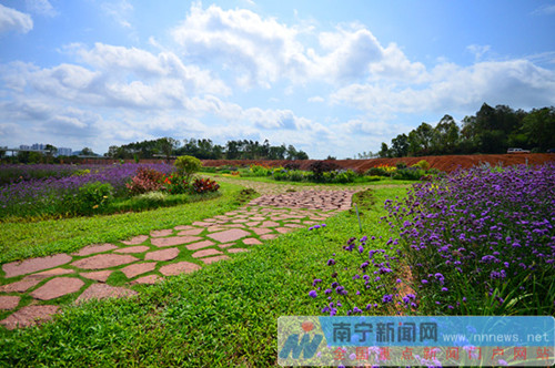 南宁园博园八大景观引人入胜 生态多样富有自然野趣 南宁园博园八大景观引人入胜 生态多样富有自然野趣