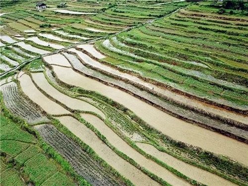 酉阳龙甲梯田:绘出醉美的大地曲线 酉阳龙甲梯田:绘出醉美的大地曲线