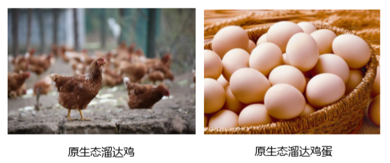 猎户商城近日上线:品质生活,一“网”打尽 猎户商城近日上线:品质生活,一“网”打尽