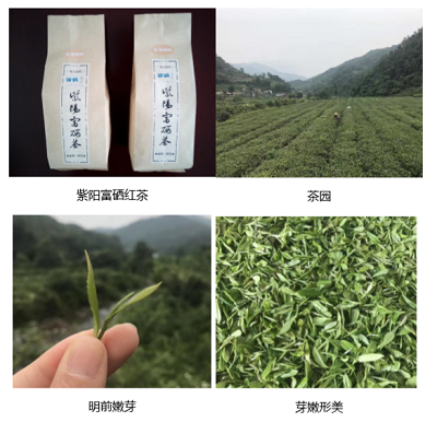 猎户商城近日上线:品质生活,一“网”打尽 猎户商城近日上线:品质生活,一“网”打尽