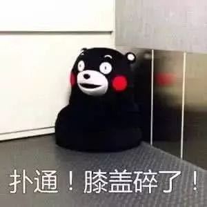 我走过最长的路，就是萌娃的套路 | 普世人文 