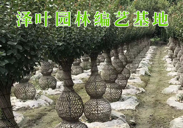 公司简介