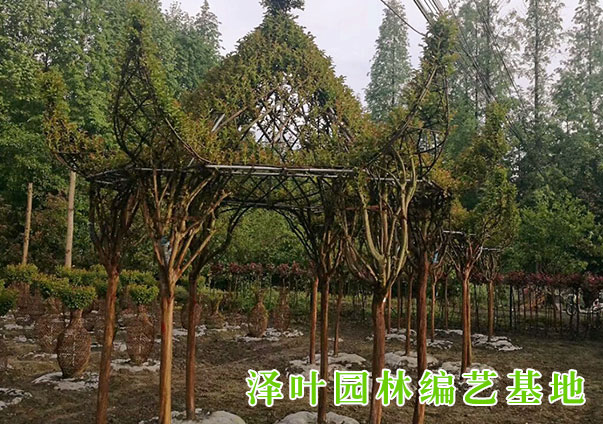 公司简介