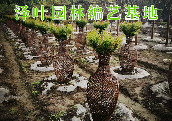 公司简介