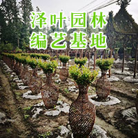 编艺造型
