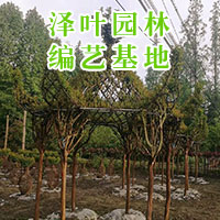 编艺造型