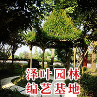 紫薇亭子