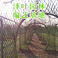 紫薇牌坊