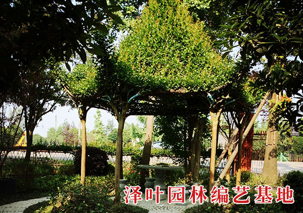 公司简介