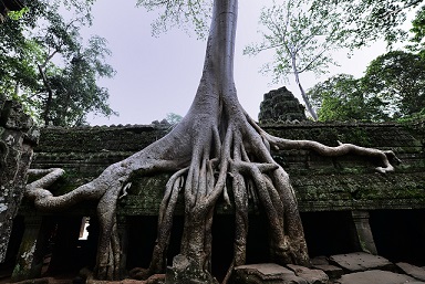 吳哥窟?古跡?世界著名建筑