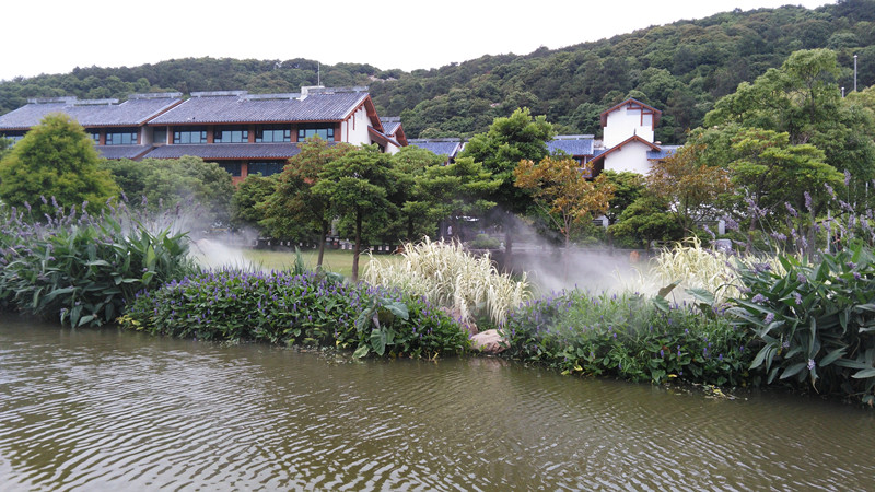 浙江中大電機(jī)-“海天佛國(guó)” 普陀山三日游 