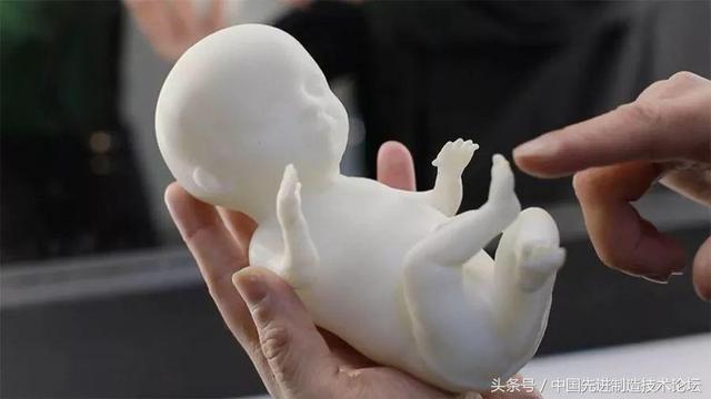 3d print the fetus: record the growth of the fetus 3d print the fetus: record the growth of the fetus