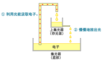 蓄光玻璃,SUMITA住田光学玻璃