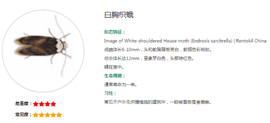 家栖鼠类