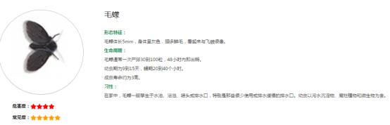 家栖鼠类