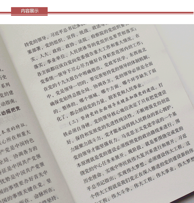 全面从严治党精神十二讲 全面从严治党精神十二讲