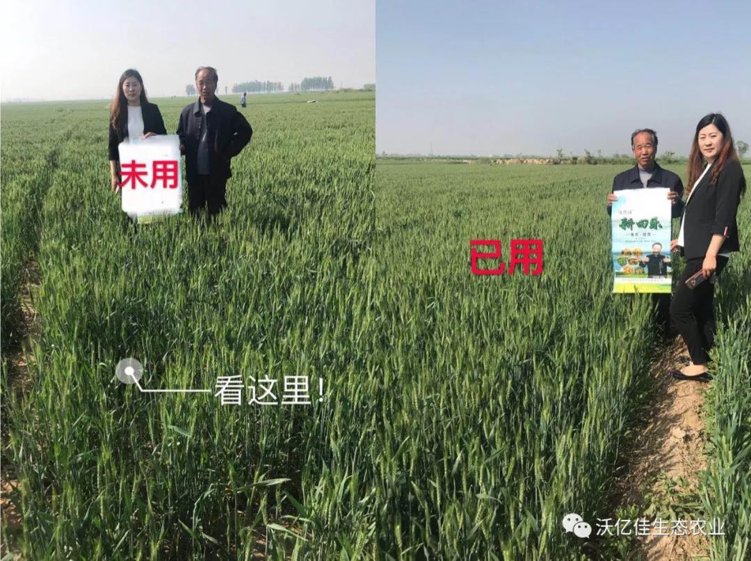 能让农民真正受益的产品才是好产品—beplay体育官网乐 能让农民真正受益的产品才是好产品—beplay体育官网乐