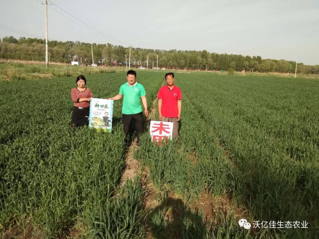 能让农民真正受益的产品才是好产品—beplay体育官网乐 能让农民真正受益的产品才是好产品—beplay体育官网乐