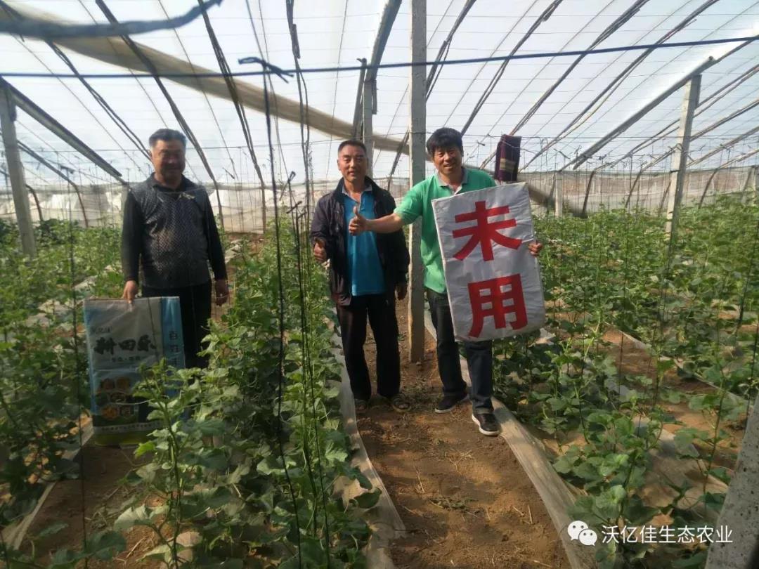 能让农民真正受益的产品才是好产品—beplay体育官网乐 能让农民真正受益的产品才是好产品—beplay体育官网乐